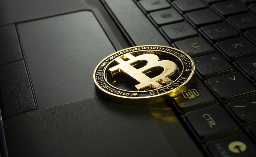 What’s the Best Bitcoin Cash Wallet for Windows Users?